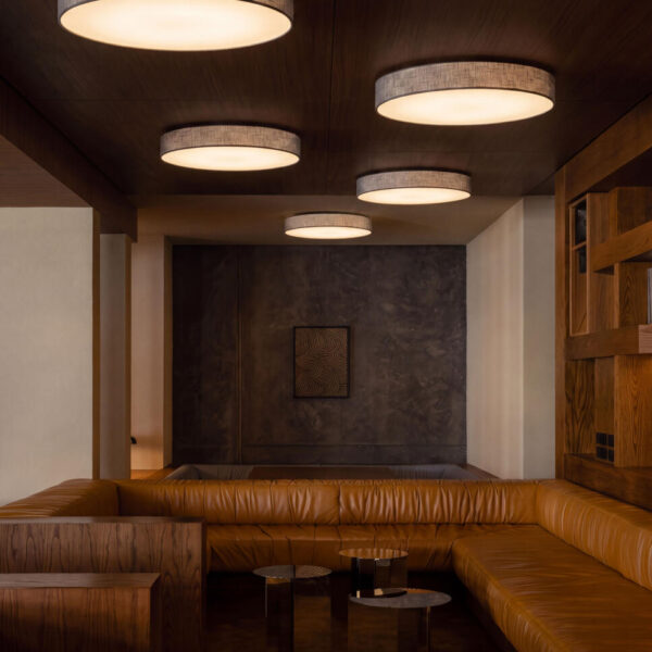 Slim ceiling